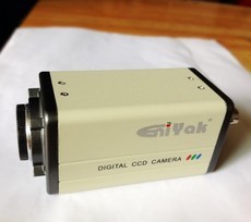 y(c)xǷ(zhn)_?Мy(c)x?