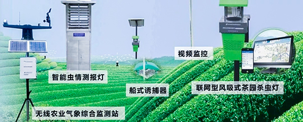 ʲôr(nng)I(y)y(c)?j)x,r(nng)I(y)y(c)ܛ?